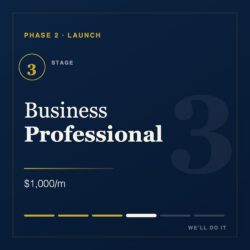 Business Professional