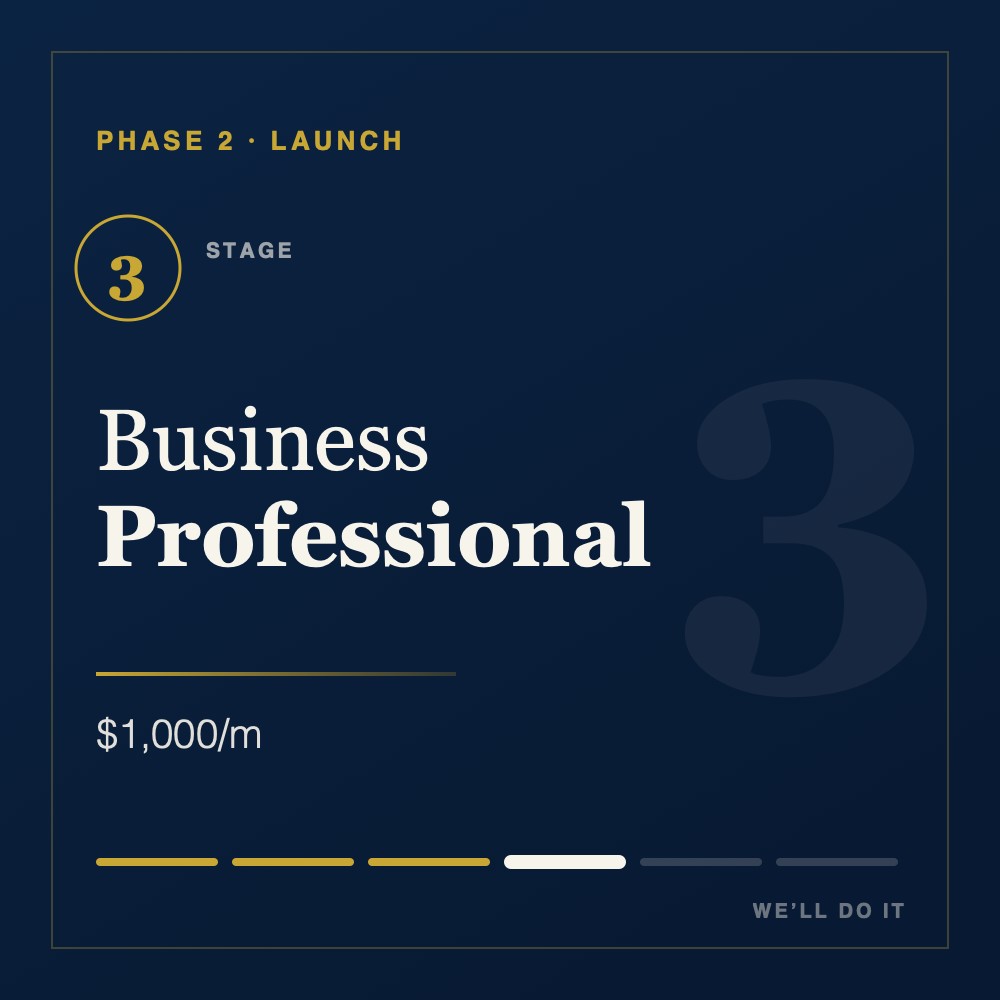Business Professional