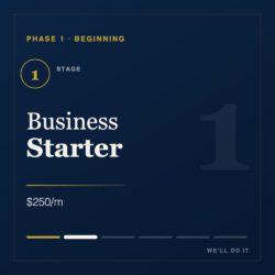 Business Starter